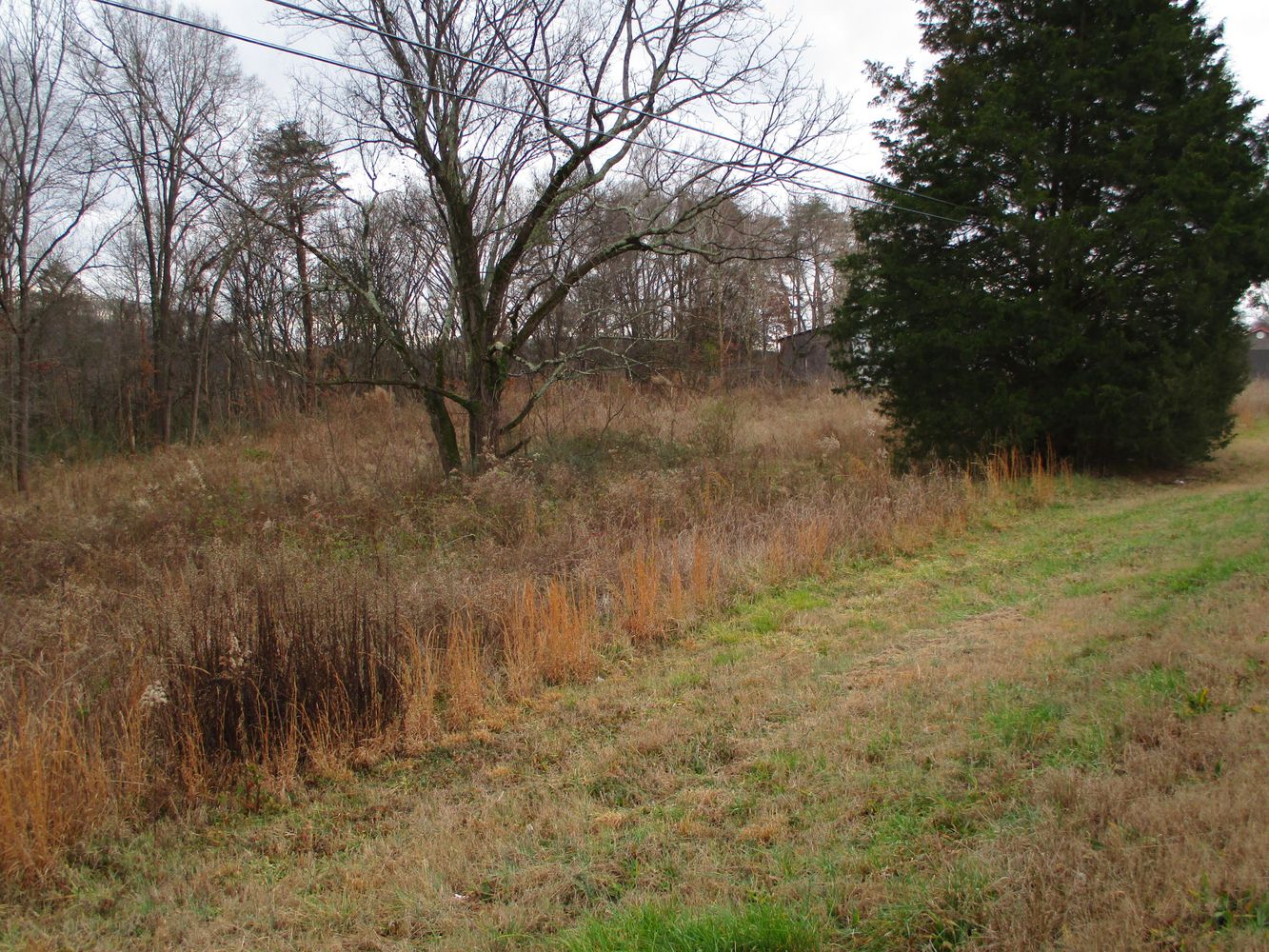 Highway 11 & County Rd 716: Highway 11 & County Rd 716, Riceville, TN 37370
